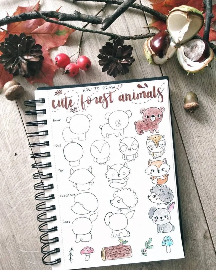 How to Draw Cute Forest Animals