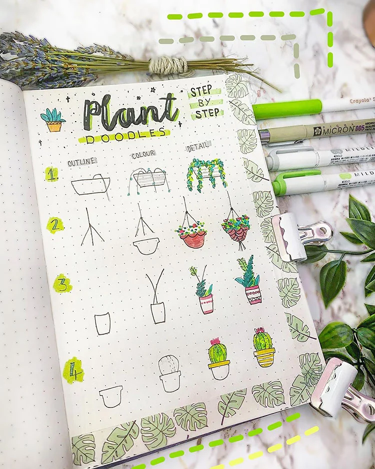 How to draw house plants