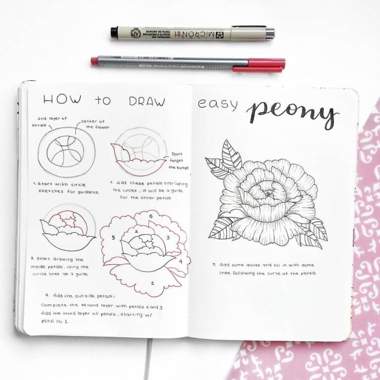 How to Doodle a peony