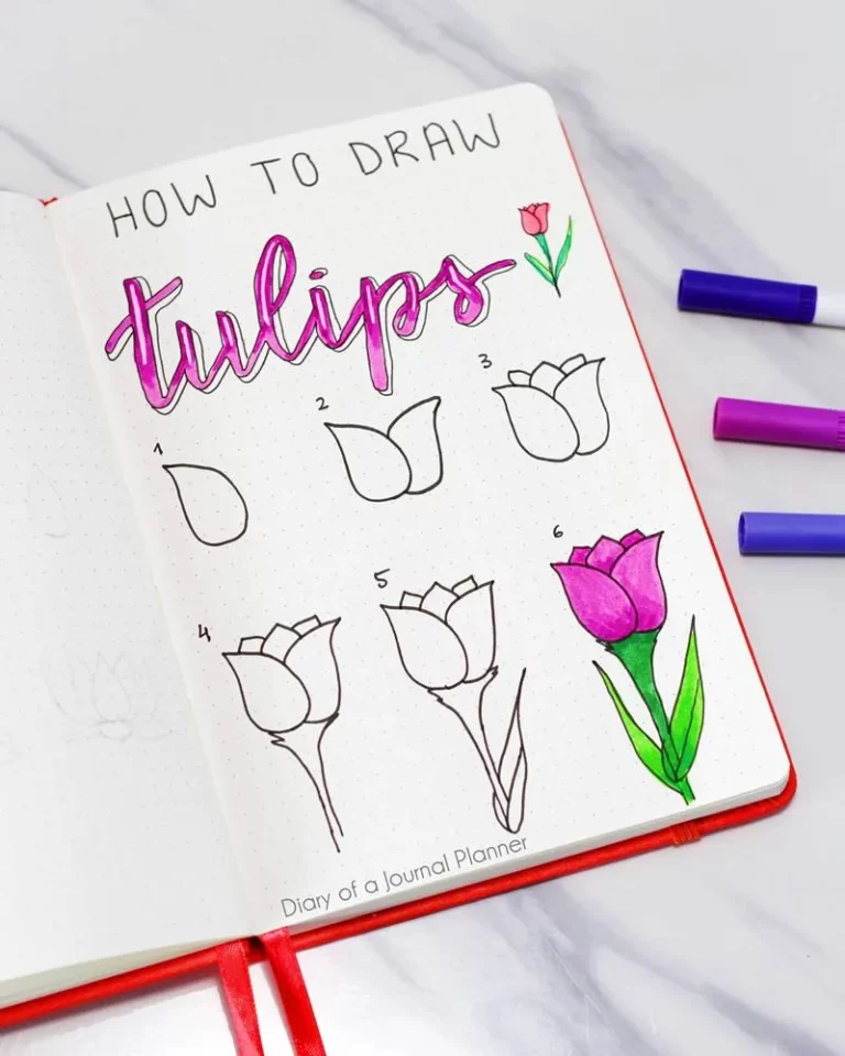 How to doodle a tulip