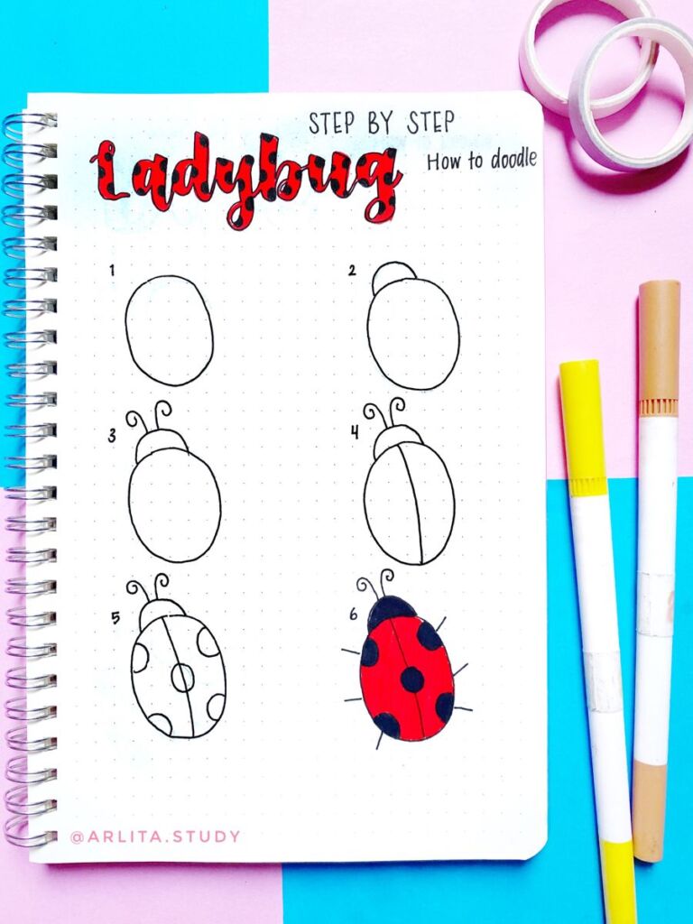 How to draw a ladybug step by step