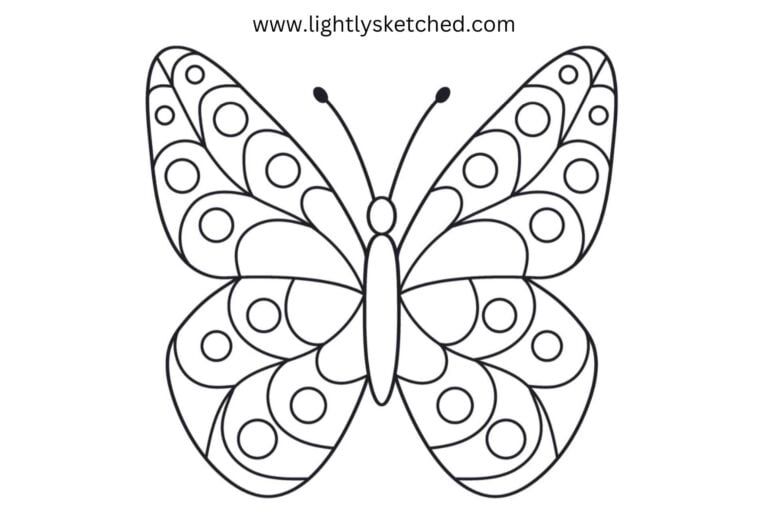 blank simple butterfly