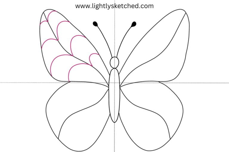 Draw "m" shaped arches in each wing