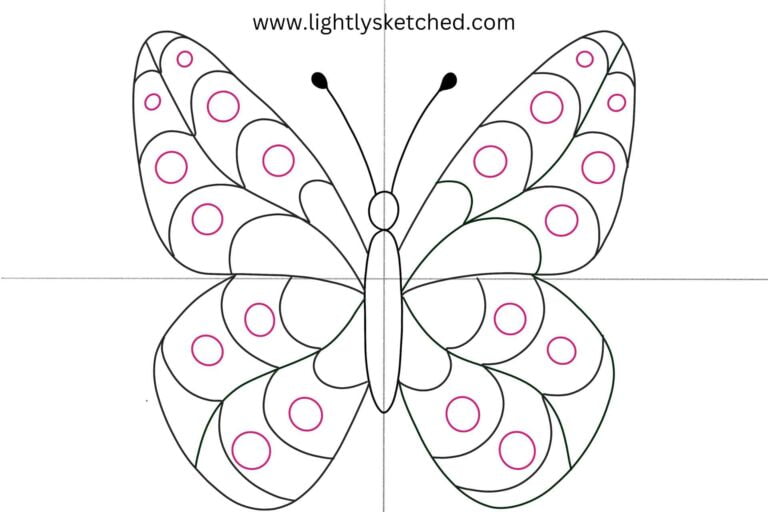 Draw circles in the wings
