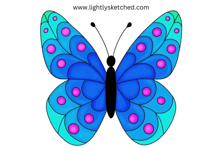 Colored butterfly drawing