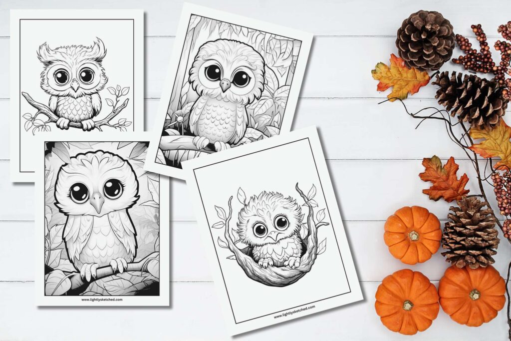 Owl Coloring Pages