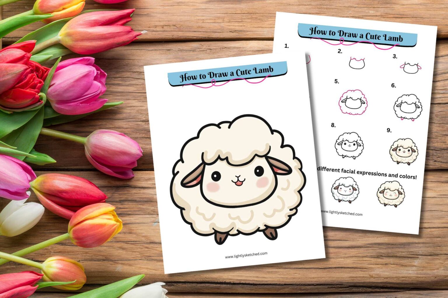 How to Draw a Lamb | Lightly Sketched