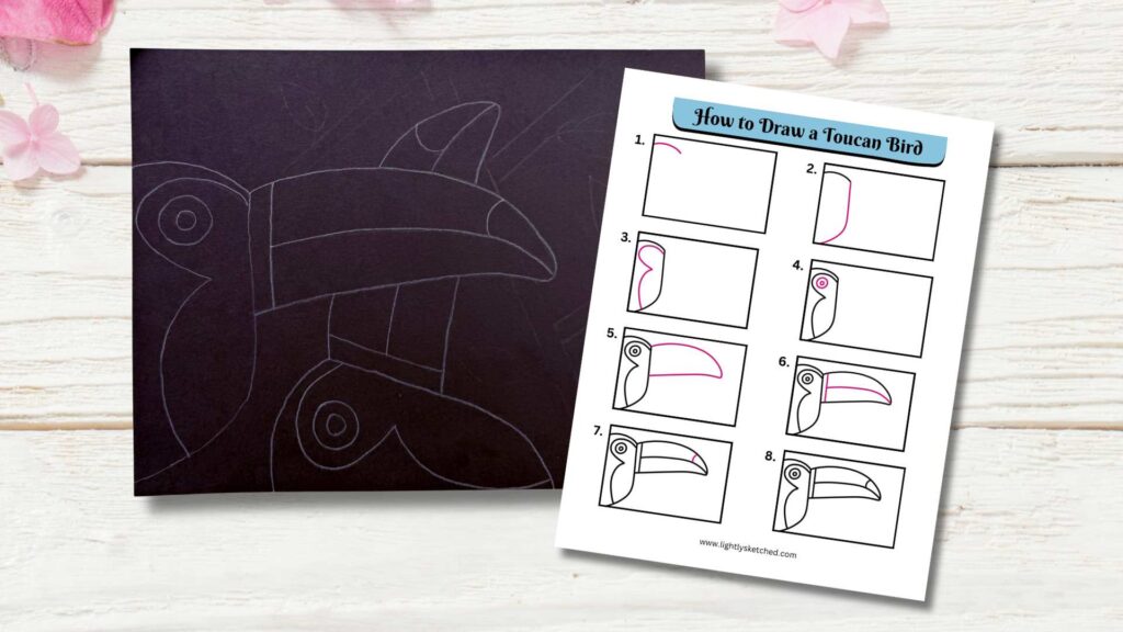 Toucan drawing guide